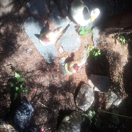 Mejdan サラエヴォ