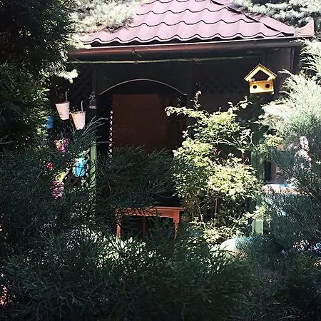 Mejdan ベッド・アンド・ブレックファスト