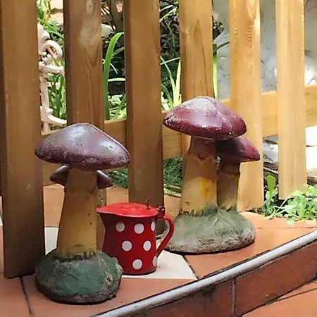 Mejdan 3* サラエヴォ